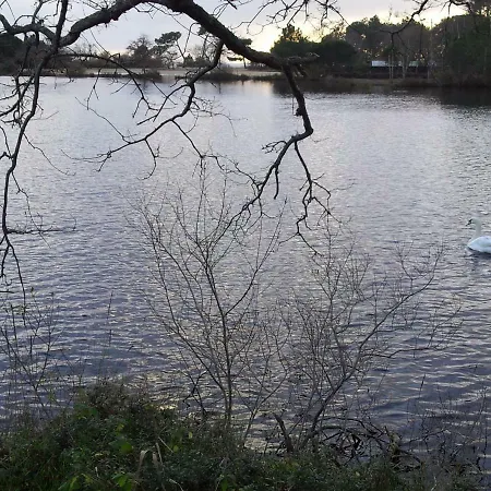 Bassin