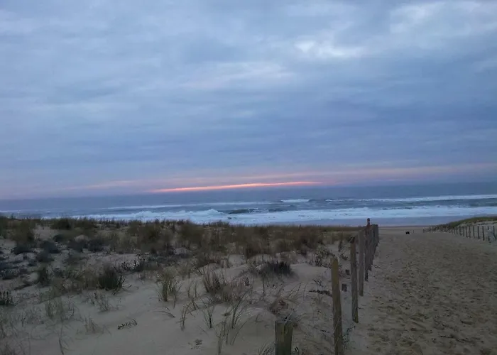 アパート Bassin アレ