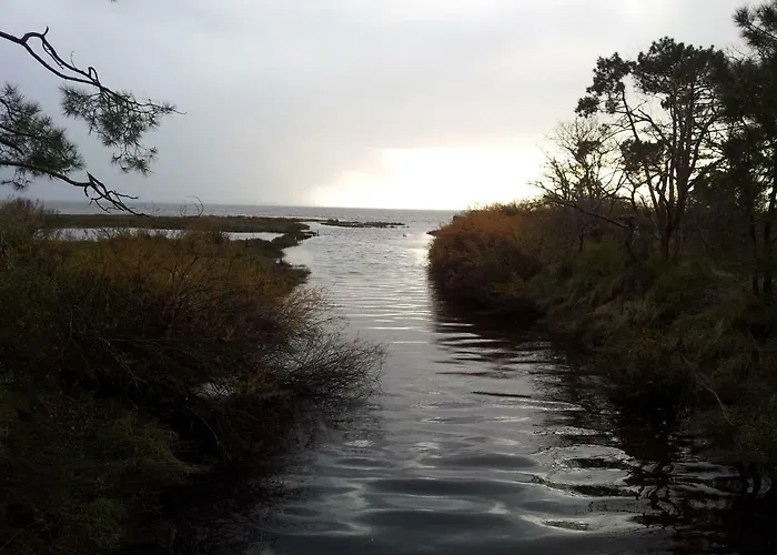 Bassin アパート *